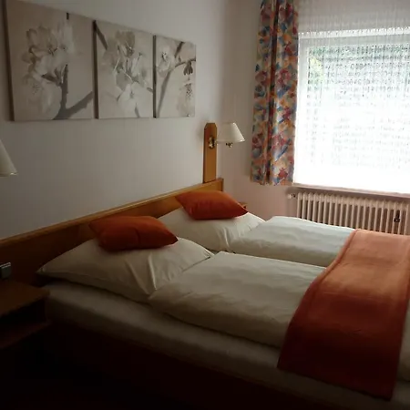 Värdshus Zum Rebstock Hirzenach