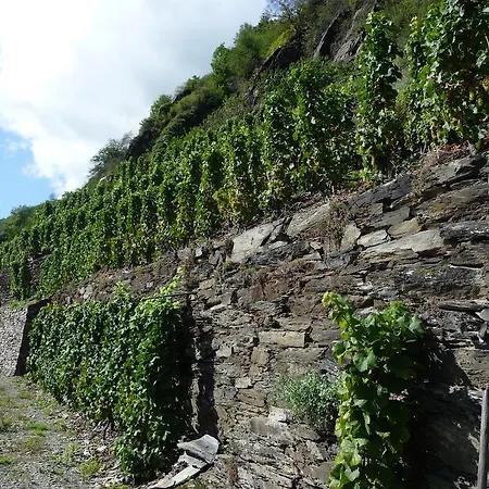 Zum Rebstock Inn Boppard