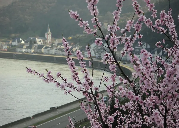 Zum Rebstock Estalagem 3*