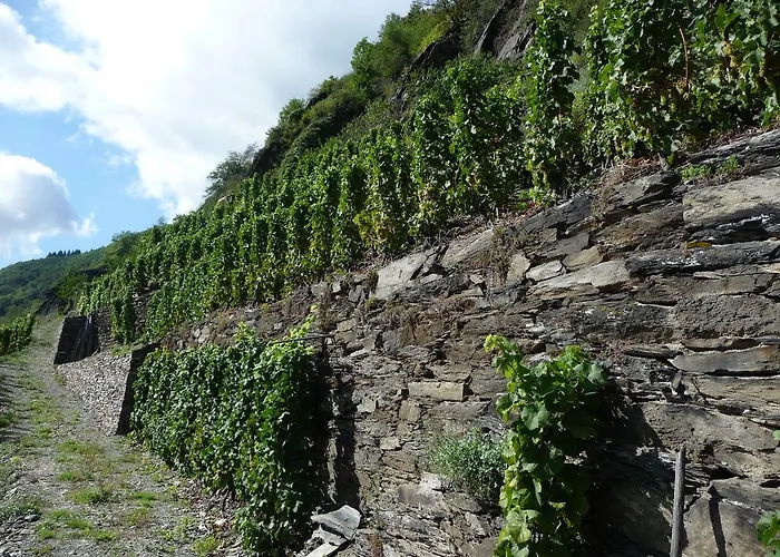 Zum Rebstock Estalagem Hirzenach