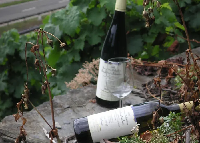 Estalagem Zum Rebstock